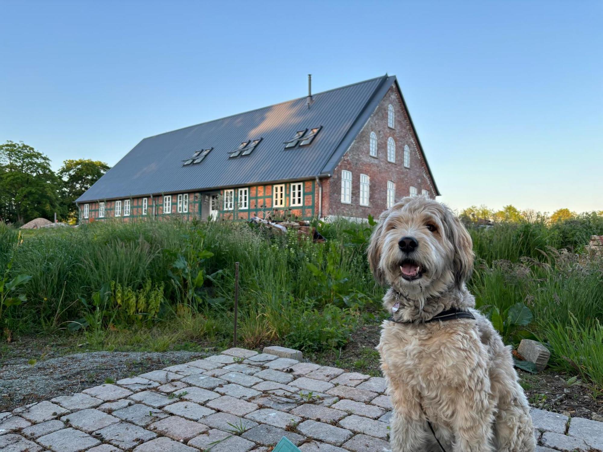 Niedersaechsisches Hallenhaus Im Modernen Gewand Lilienthal (Lower-Saxony) Exterior foto